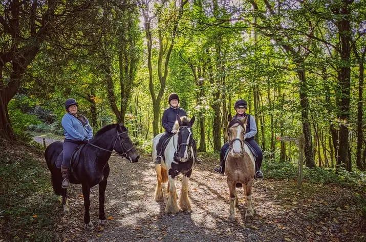 Mullacott Riding Stables