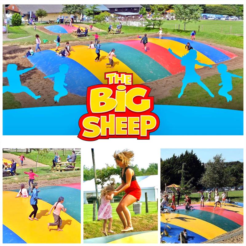 Woolacombe Sands | The Big Sheep