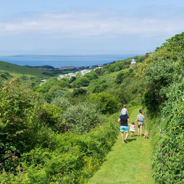 Dog Friendly Walks in Woolacombe