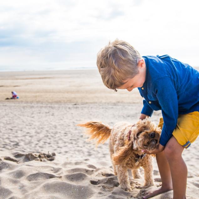 Dog Friendly Woolacombe Beach