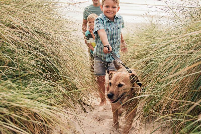 Pet Friendly Woolacombe Sands Holiday Park