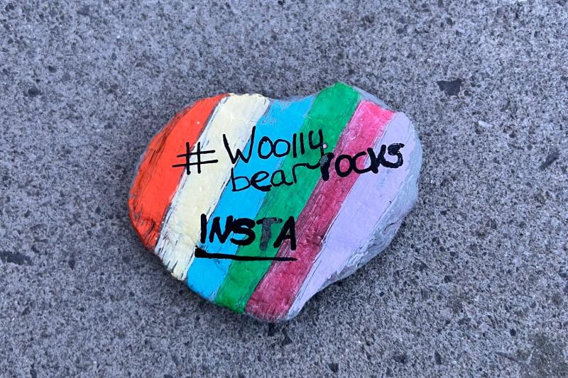 #WoollyBearRocks 