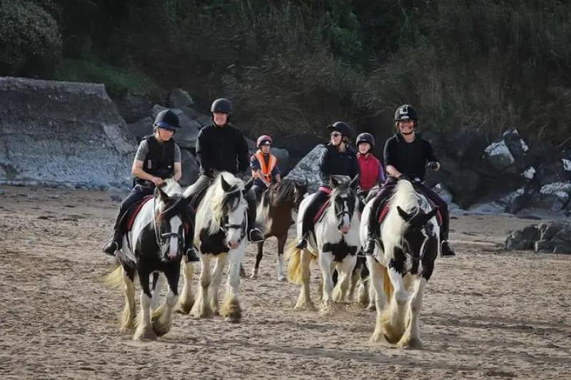 Mullacott Riding Stables