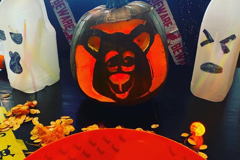 Woolly Bear carved into a pumpkin at Woolacombe Sands