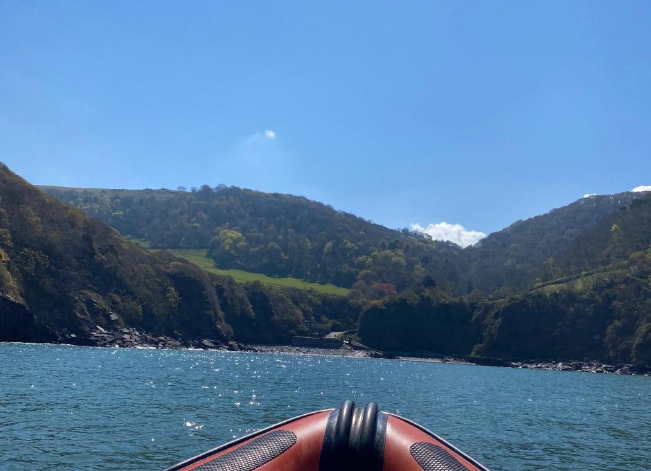 Sea Safari Boat Ride North Devon Coast