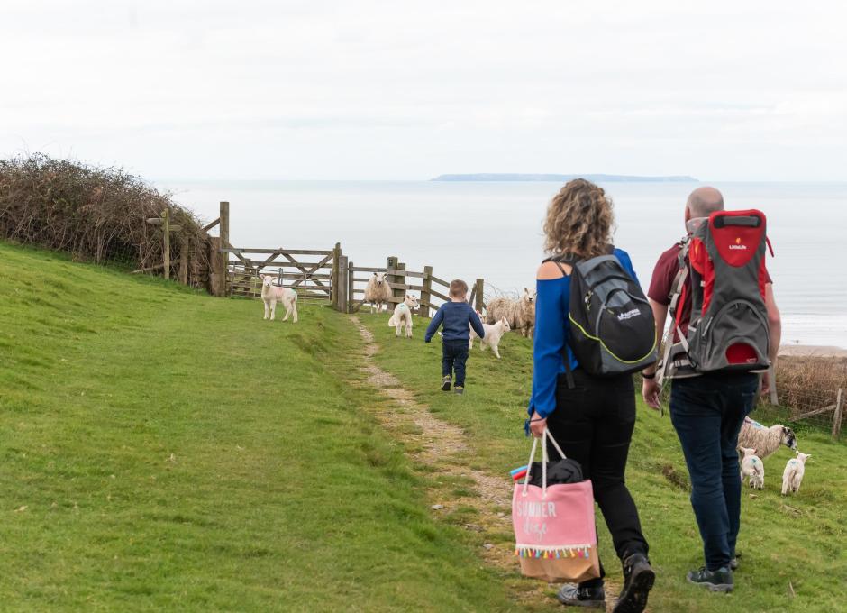 Woolacombe Sands Holiday Park Guests with Sheep on Footpath To Beach