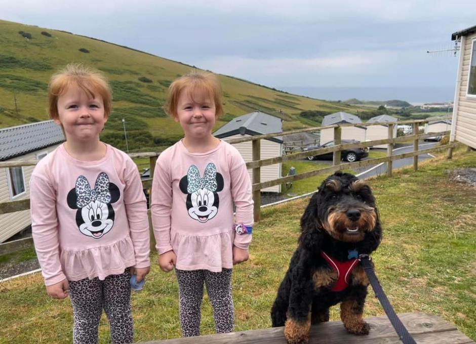 Woolacombe Sands | Dog Holiday Gallery