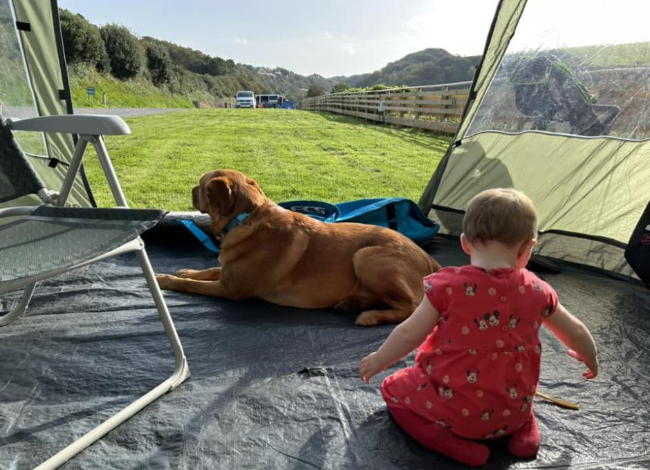 Woolacombe Sands | Dog Holiday Gallery