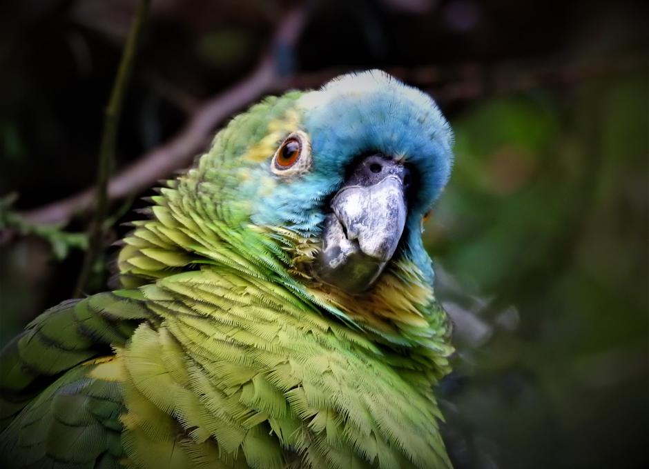 Combe Martin Wildlife and Dinosaur Park | Woolacombe Sands